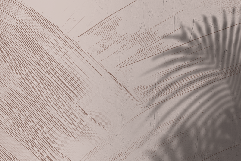 棕色纹理png透明背景热带叶影