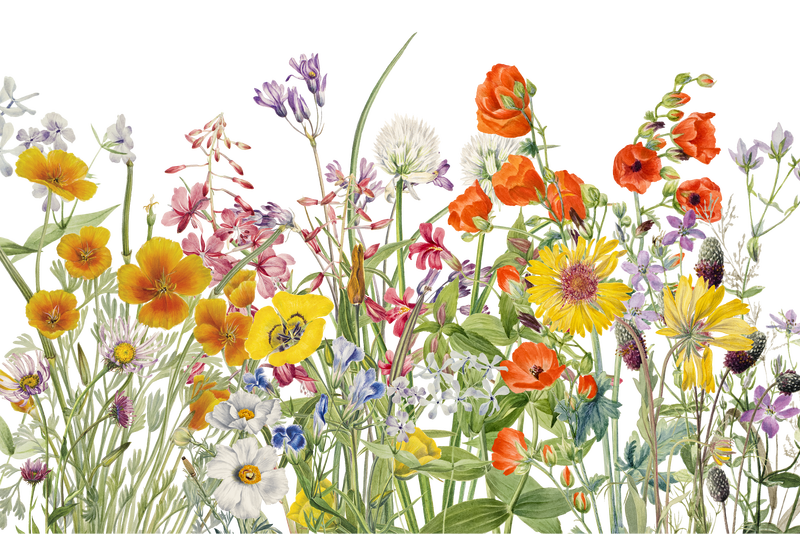 Png彩色复古花卉背景插图