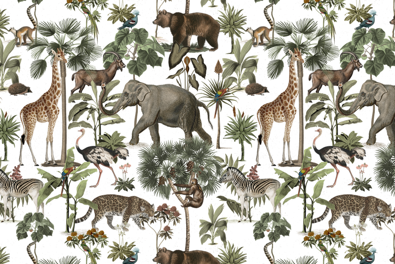 丛林png动物图案透明背景复古野生动物插图