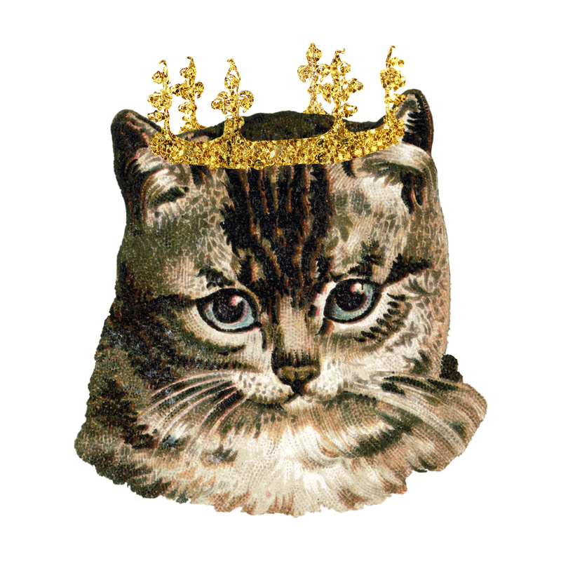 猫用闪亮的皇冠贴纸透明png