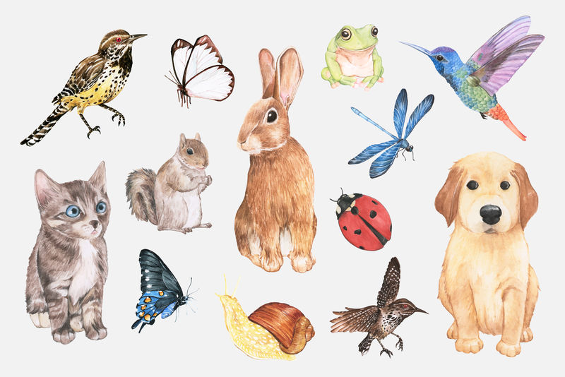 水彩画可爱动物元素贴纸