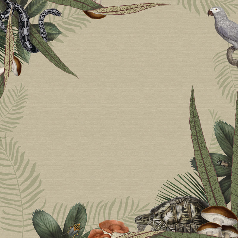 丛林动物框架psd设计空间为米色背景