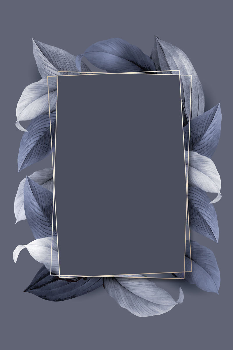 蓝灰色背景向量上的矩形叶框