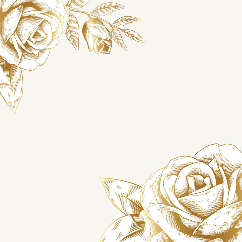 手绘玫瑰框背景向量