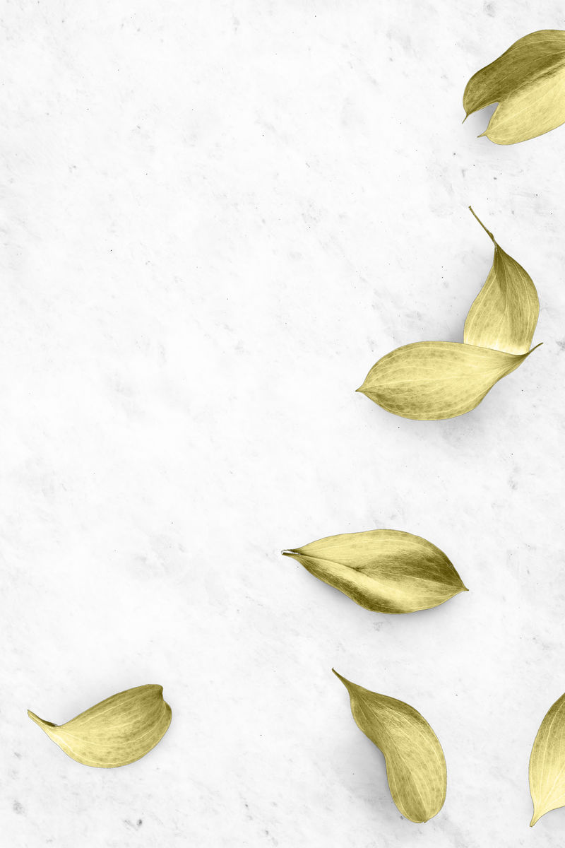 白色大理石上的金色桉树叶背景插图