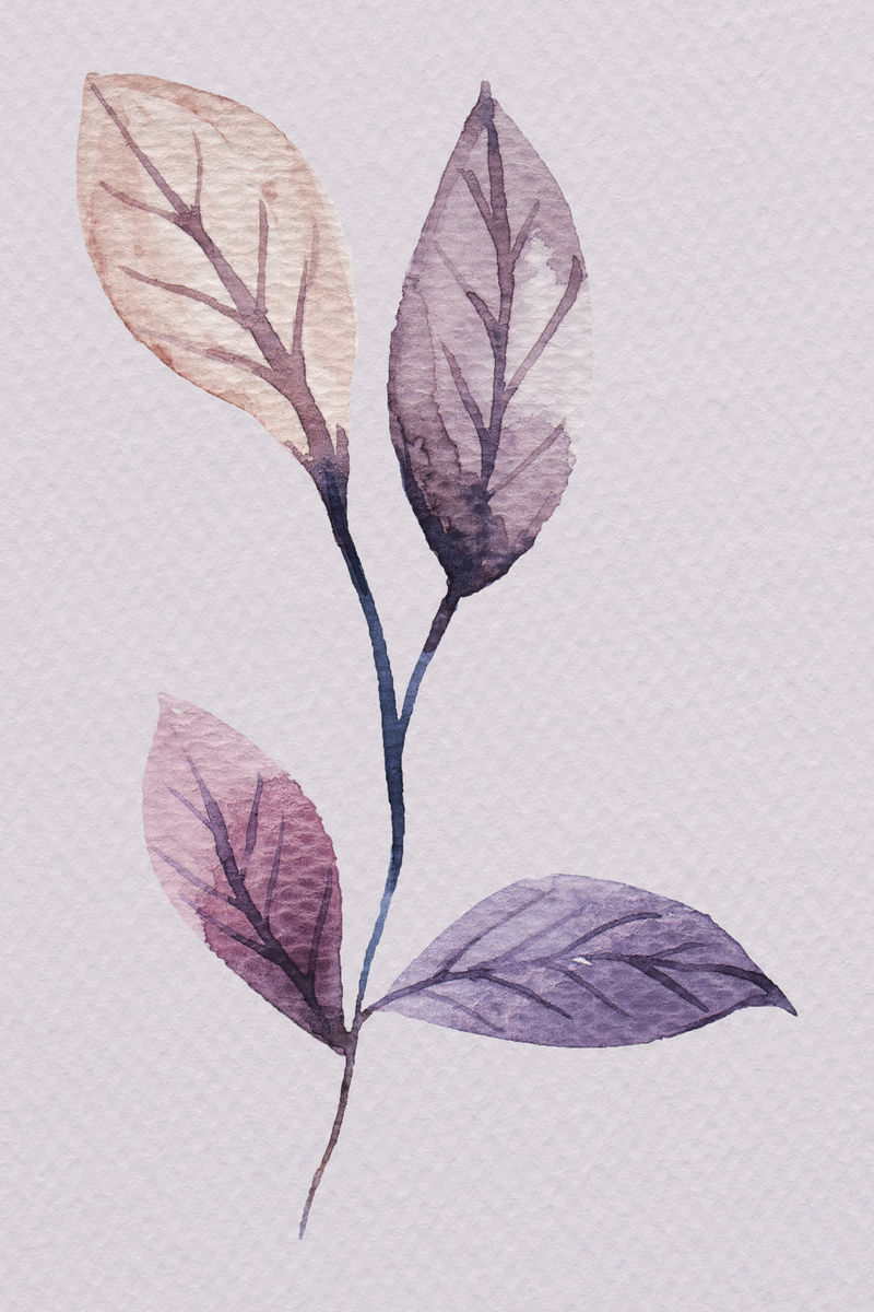 手绘紫水彩叶