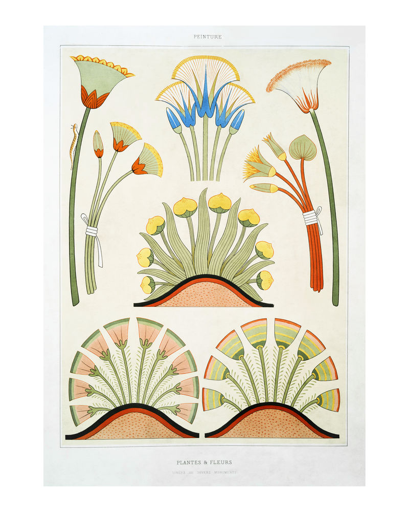 埃及植物和花卉复古墙艺术印刷海报设计混搭从原来的艺术品