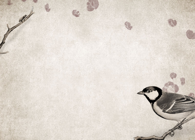 塔尔戈克斯大山雀在一个肮脏的棕色背景插图