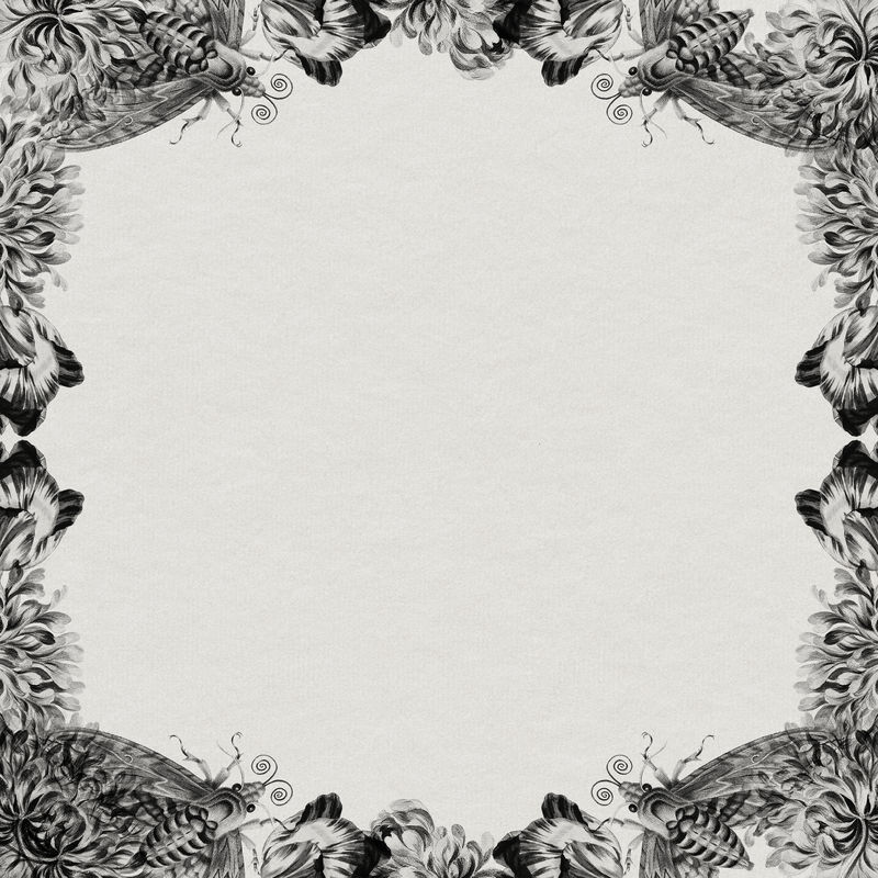 复古黑白花框以飞蛾为纹理背景设计元素