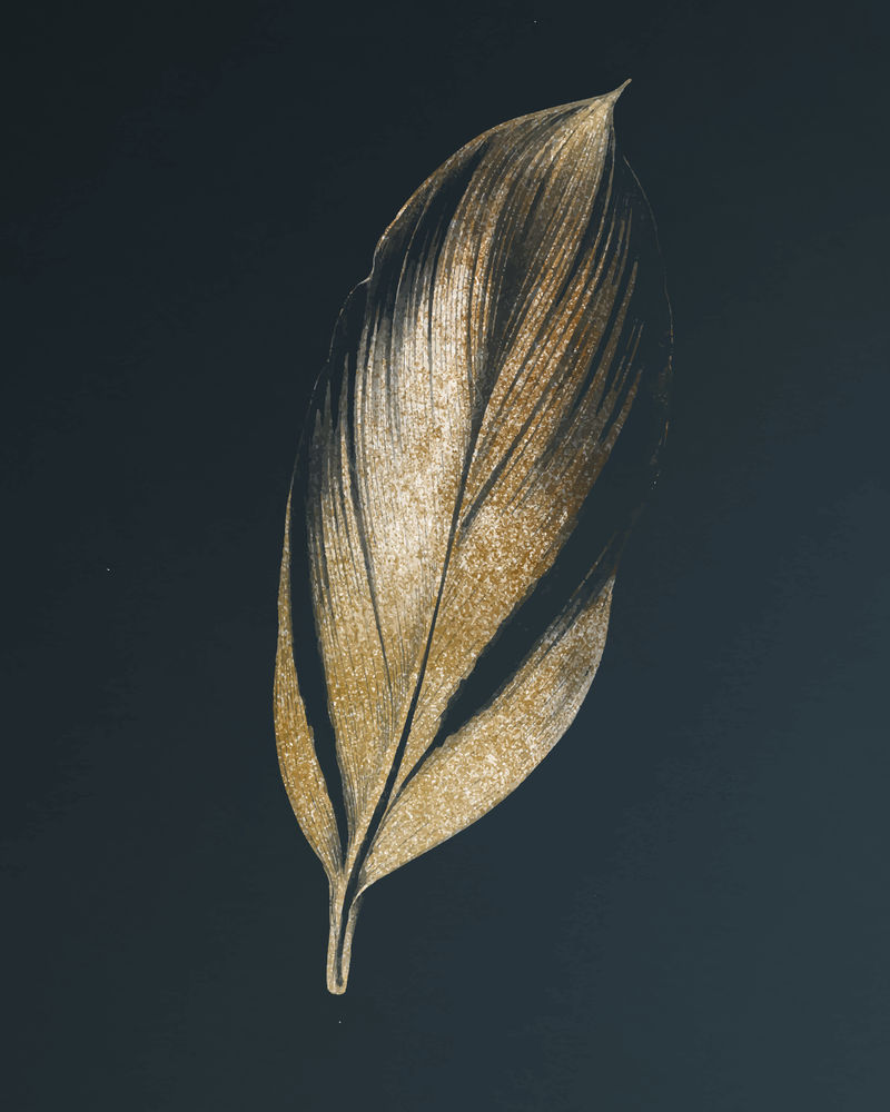 龙血树多汁的热带叶子复古矢量混音从本杰明福塞特的原始艺术品
