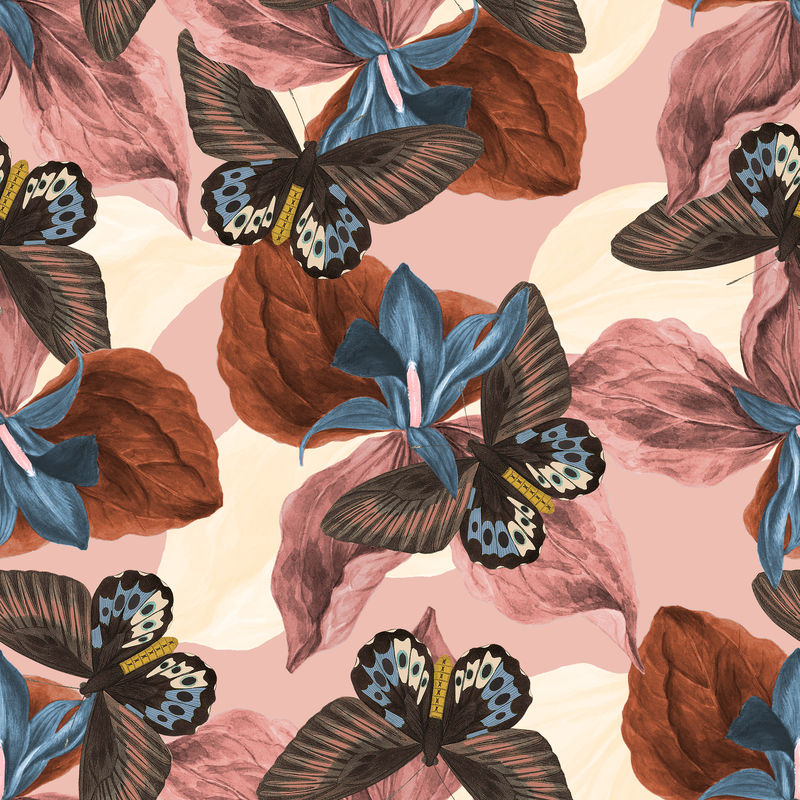 无缝蝴蝶花psd图案复古混搭自乔治·肖的《自然主义者》杂志