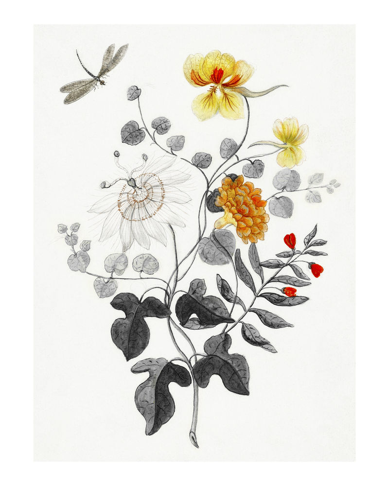 《花的静物生活》复古插画墙壁艺术印刷品和海报设计混搭原创艺术作品