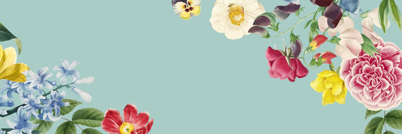 五彩缤纷的春花装饰横幅设计元素