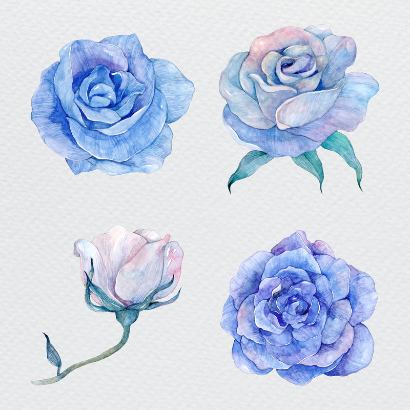 蓝色水彩花卉插画