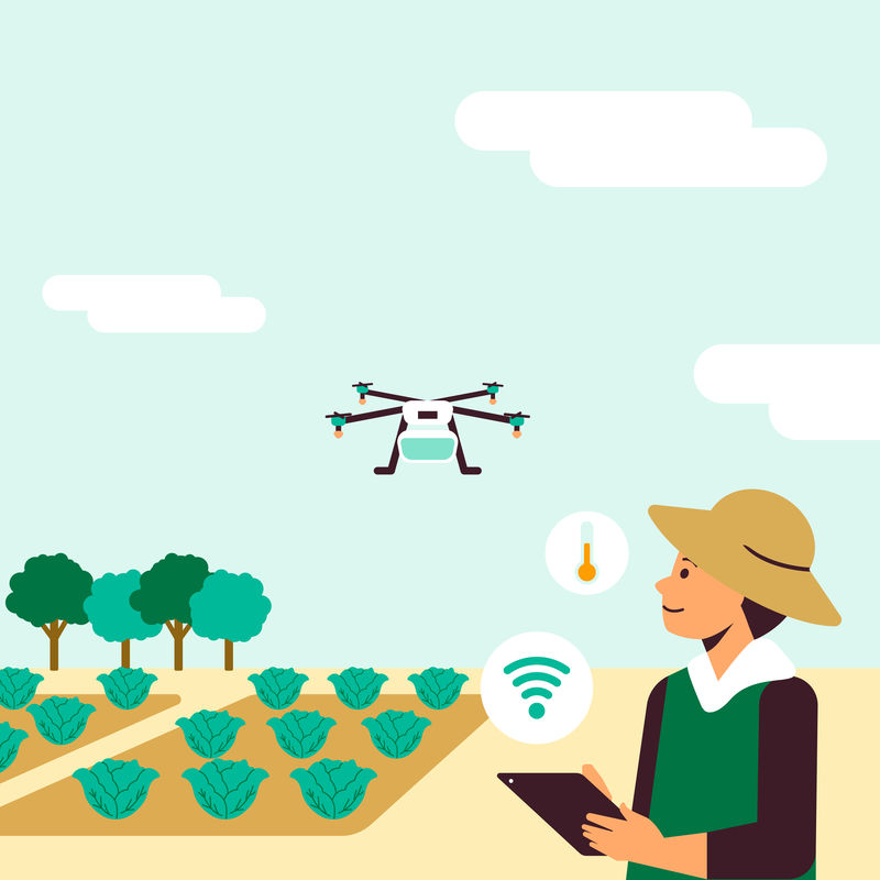 农民使用农业无人机进行矢量智能养殖
