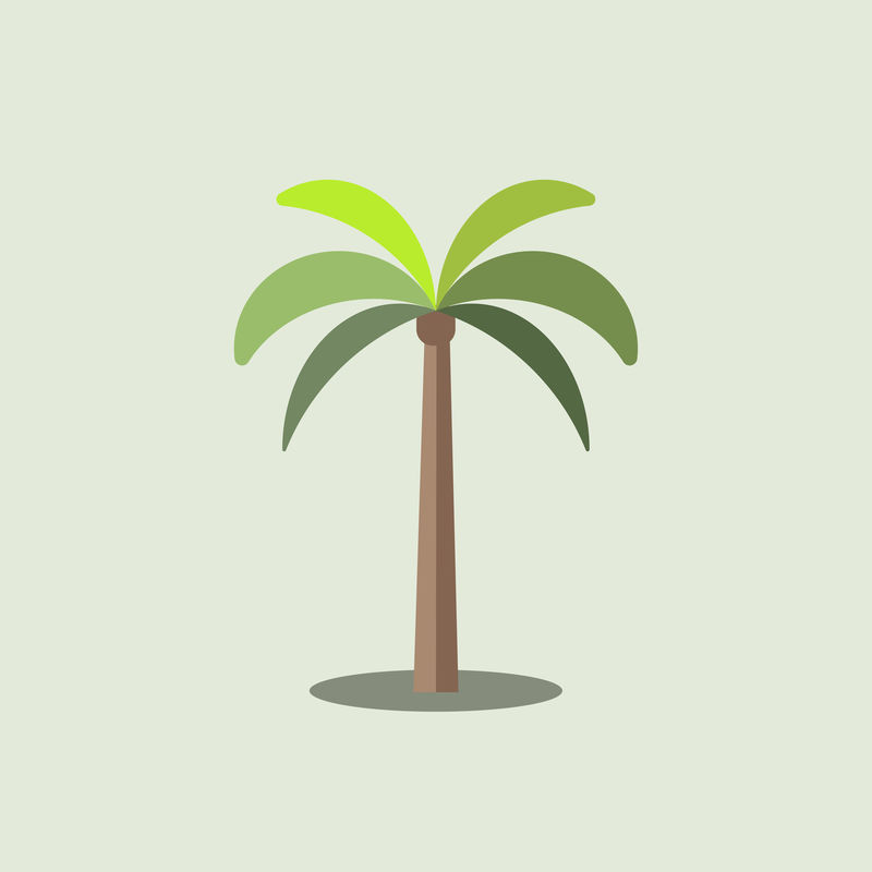 绿色植物棕榈树载体
