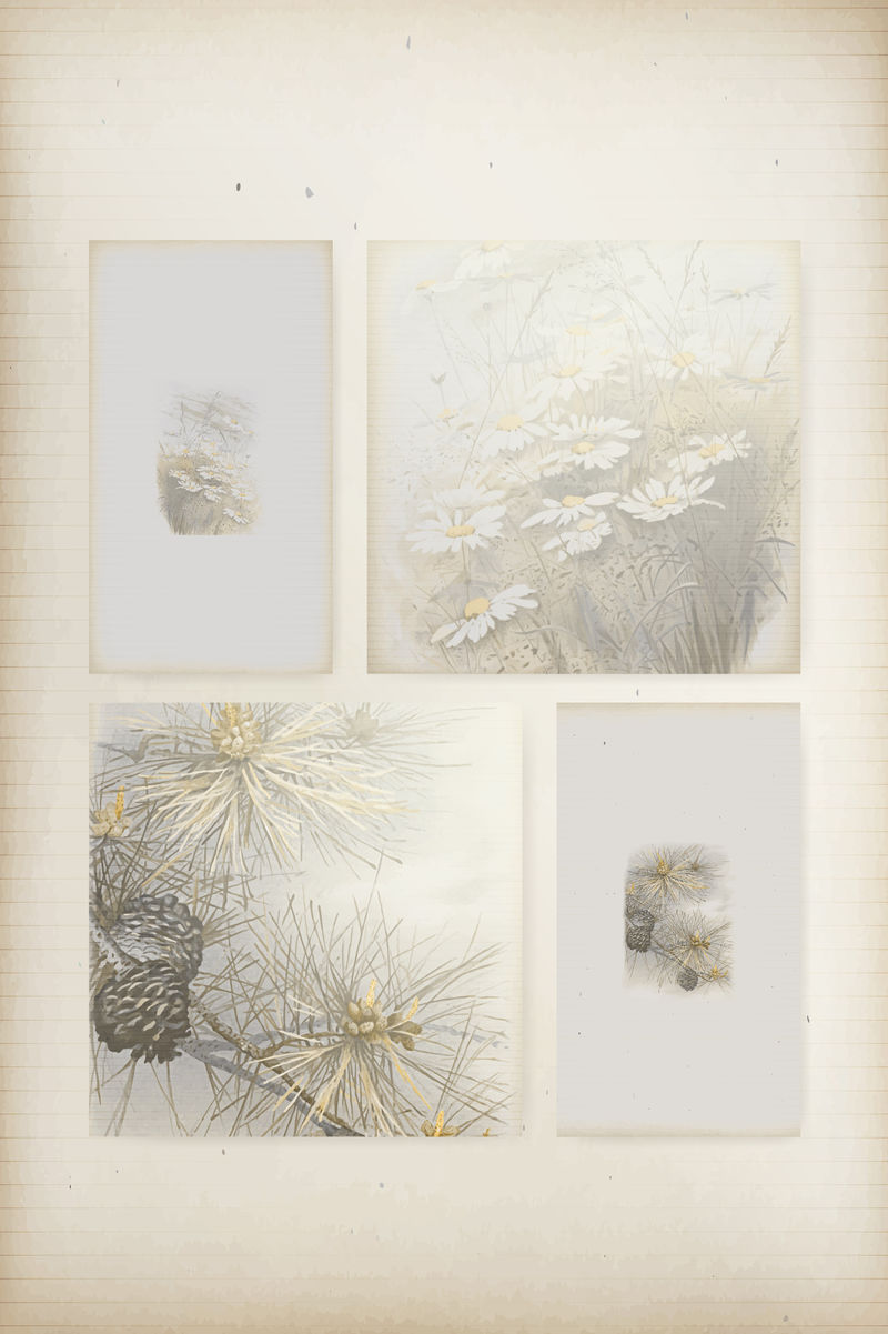 雏菊和针叶树圆锥图案背景模板集向量