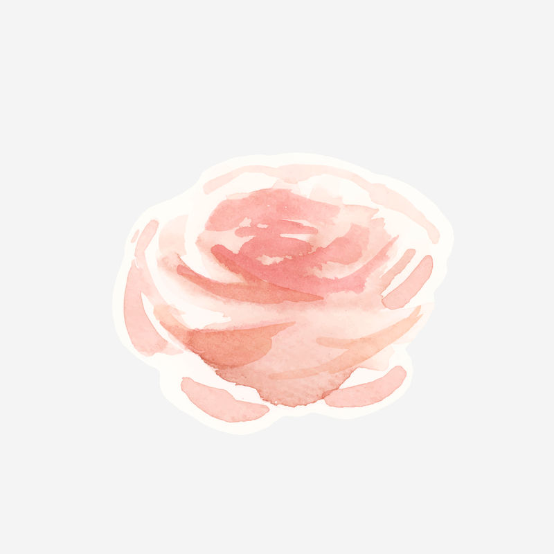 经典粉彩玫瑰矢量手绘水彩花