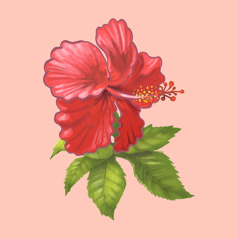 一朵美丽的红花的插图