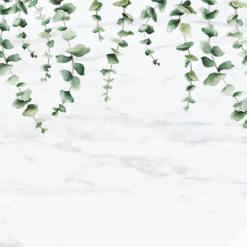 手绘桉树叶白色大理石背景向量
