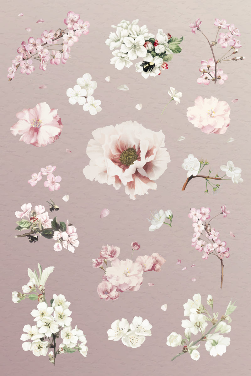 粉白色花卉采集载体