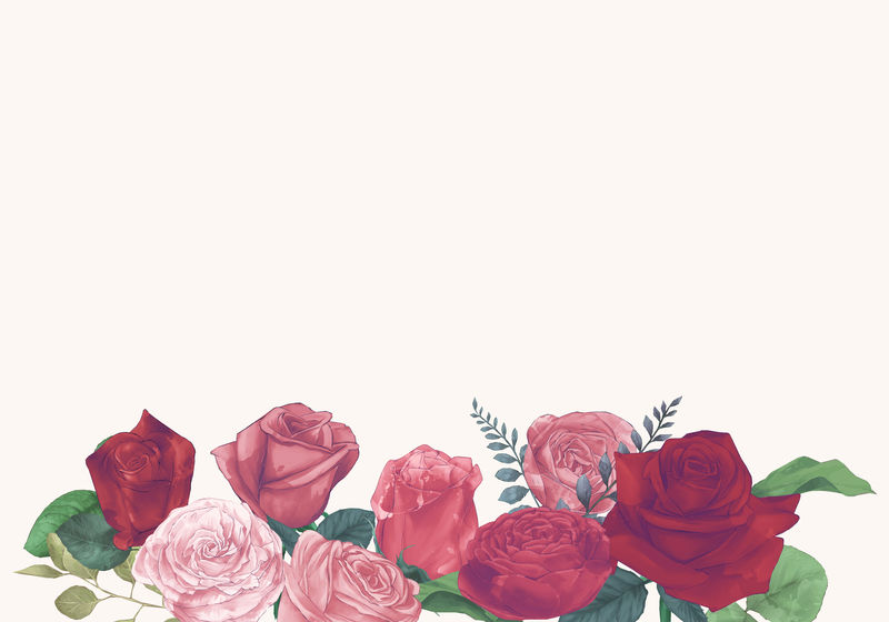 孤立背景白玫瑰插图
