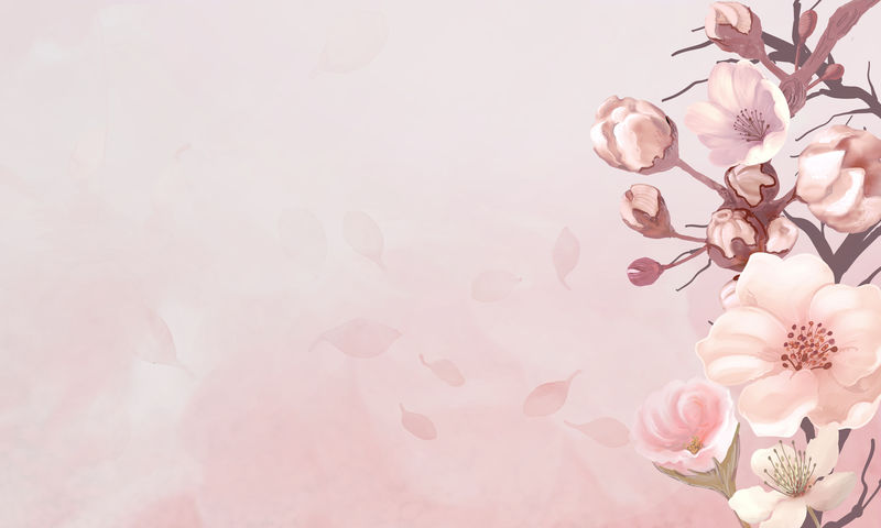 粉红色背景插图上的手绘樱花
