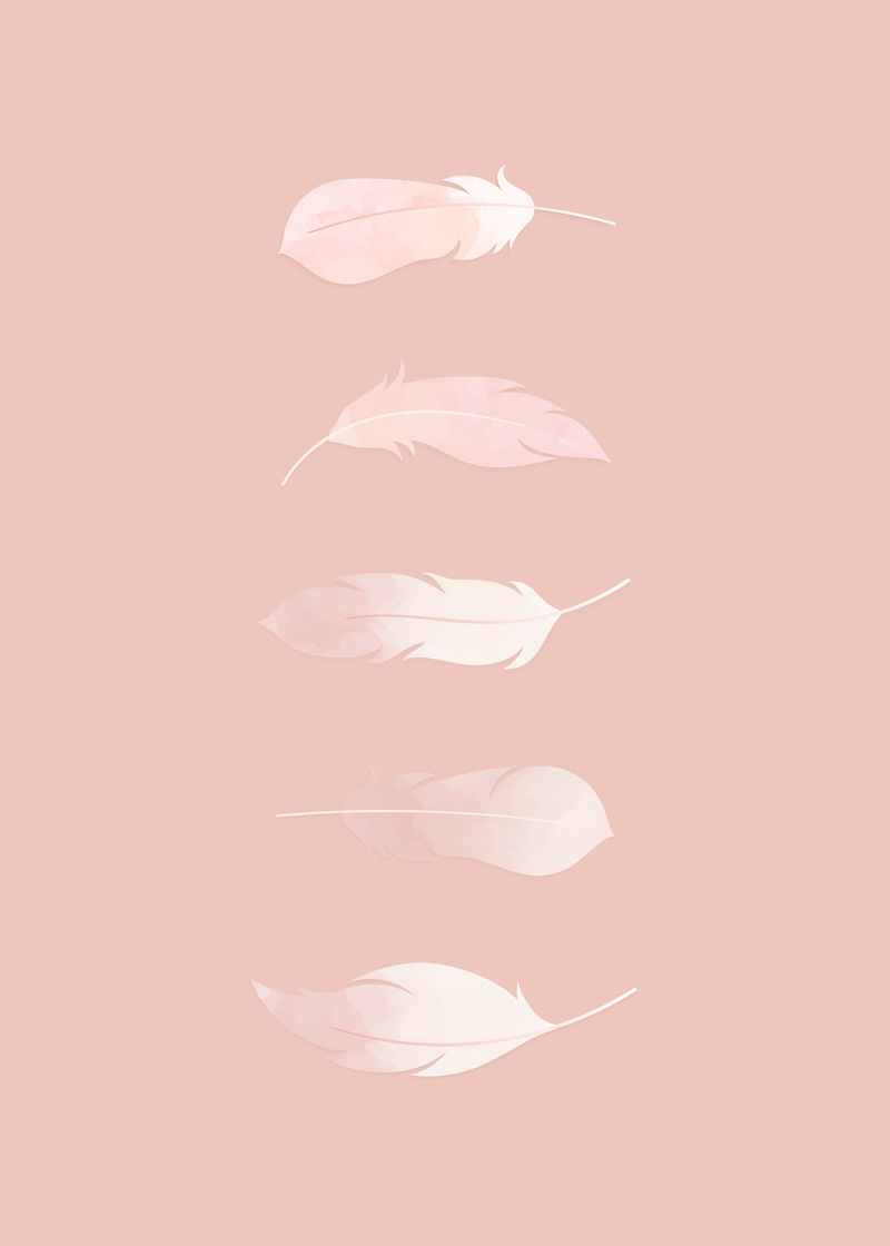 粉色水彩画轻量级羽毛收集载体