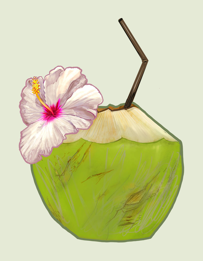 热带新鲜椰子插画