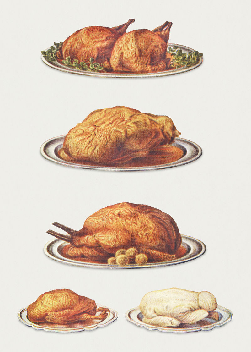 复古禽类菜肴包括烤鸡烤鹅香球烤火鸡烤鸭和水煮鸡设计资源