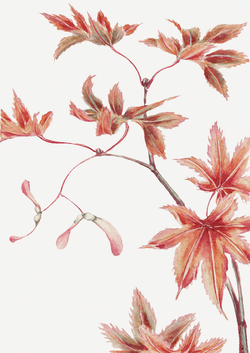 复古日本枫树psd艺术印刷品由梅加塔森卡加的艺术作品混合而成