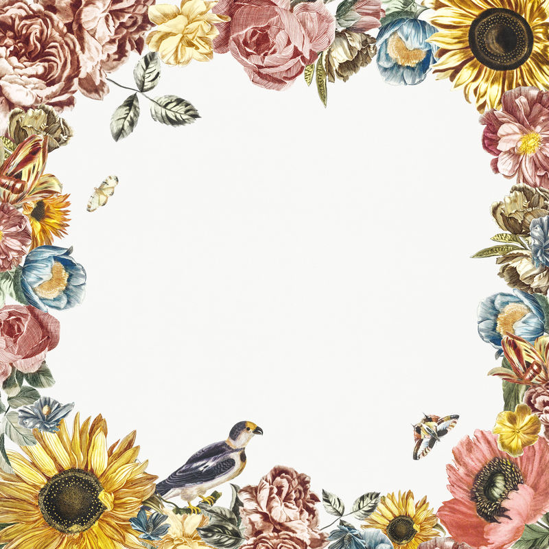 Frame made by flowers illustrated by？？？
