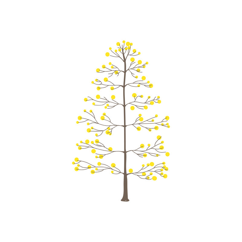 黄圆叶树