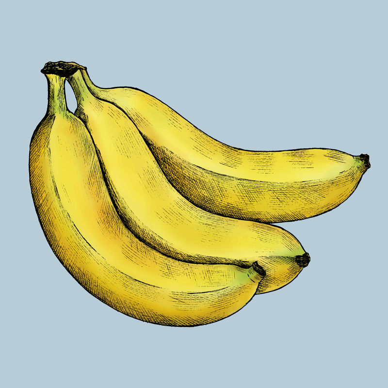 蓝色背景上的成熟新鲜香蕉