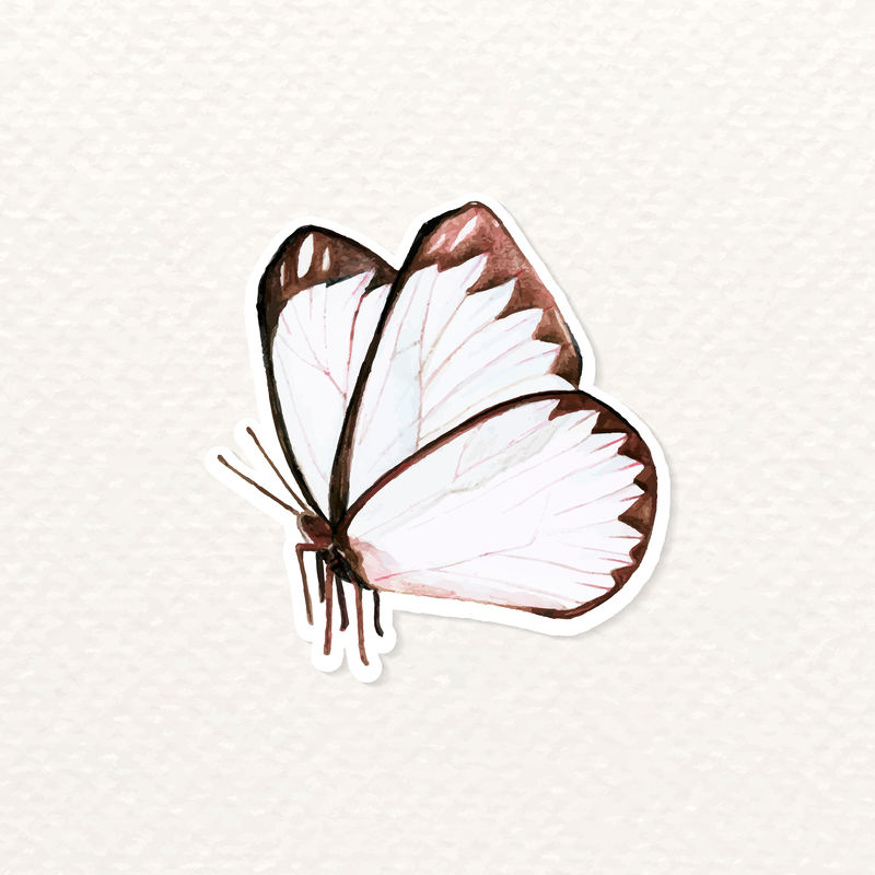 白棕色蝴蝶贴纸矢量