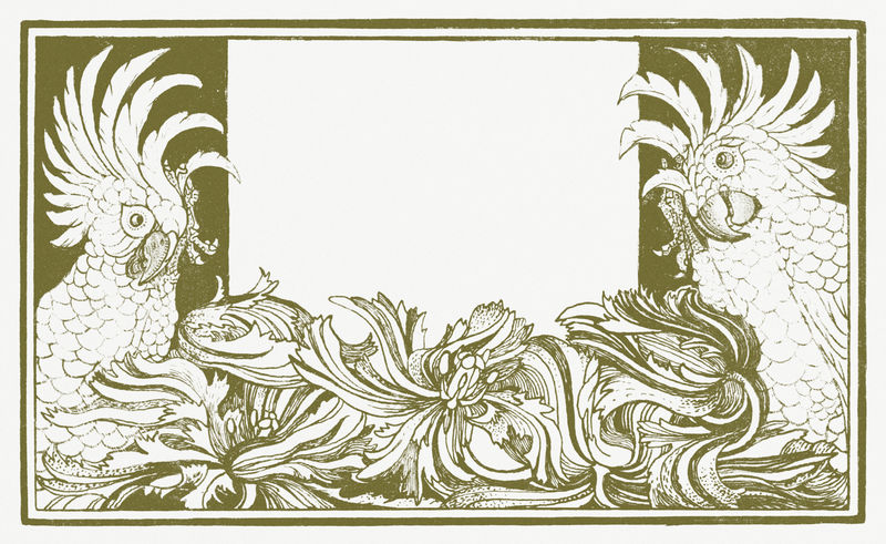 复古凤头鹦鹉与花框psd从西奥范霍伊泰马的艺术品混音