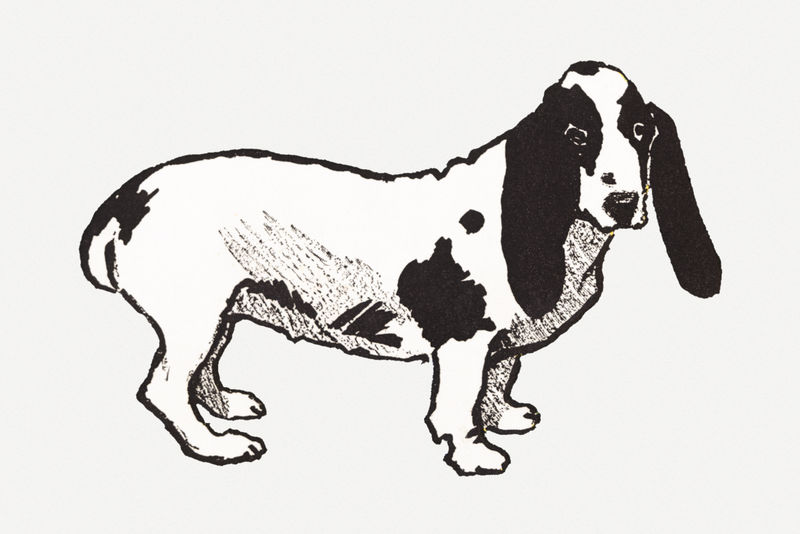 狗狗艺术印刷品由爱德华·彭菲尔德的艺术作品重新混合而成