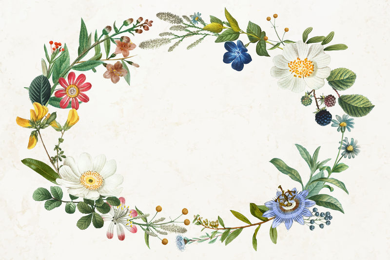 复古植物花环psd框架手绘插图