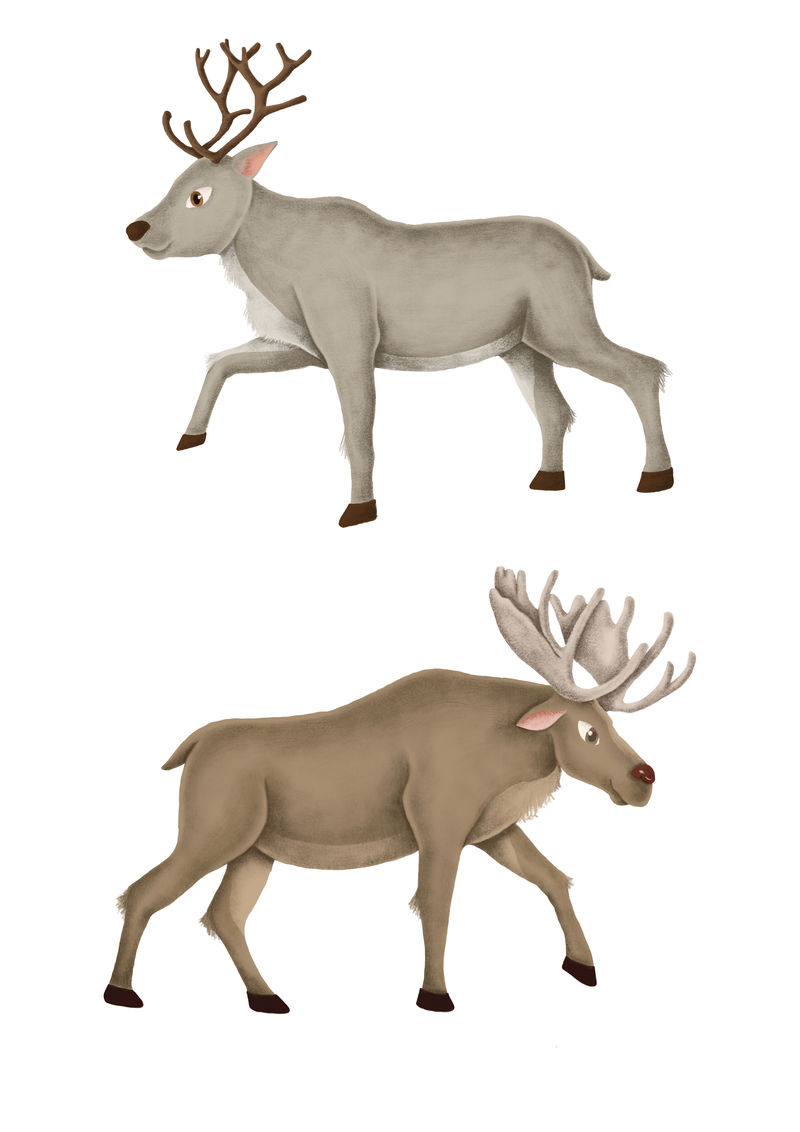 手绘驼鹿和驯鹿插图