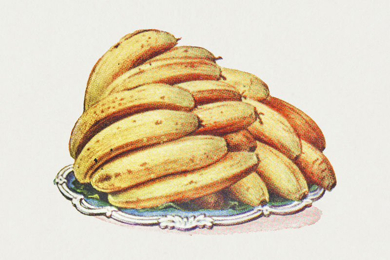 复古手绘香蕉插画