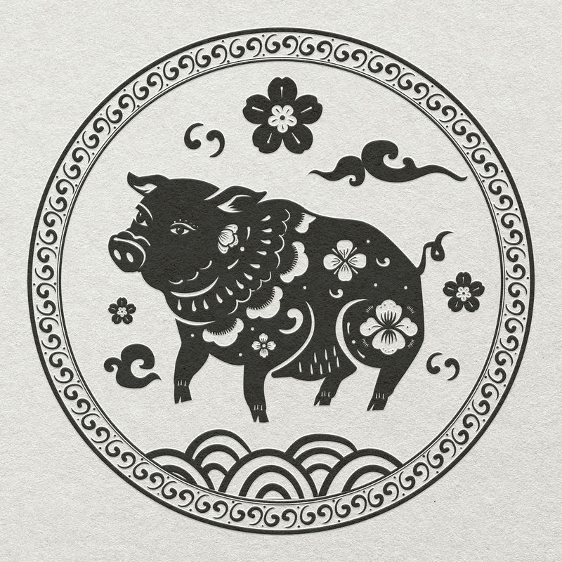 猪年是黑色中国占星术动物