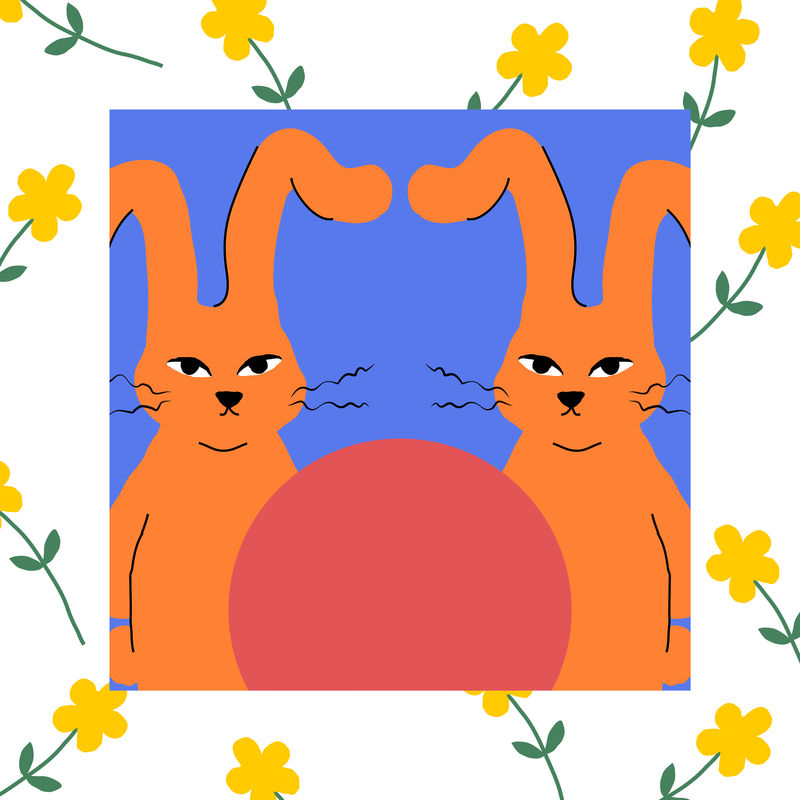 滑稽的双胞胎兔子psd动物插图