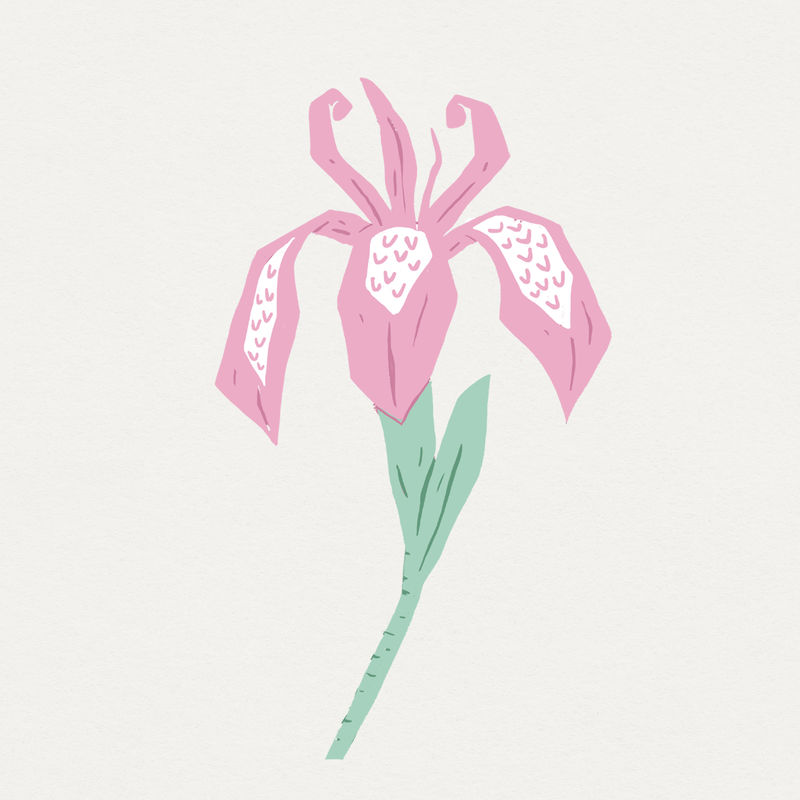 复古粉色盛开的花朵多彩的linocut风格