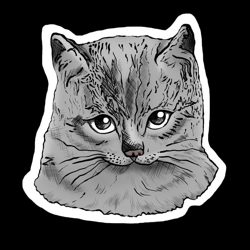 手绘灰猫贴纸插图