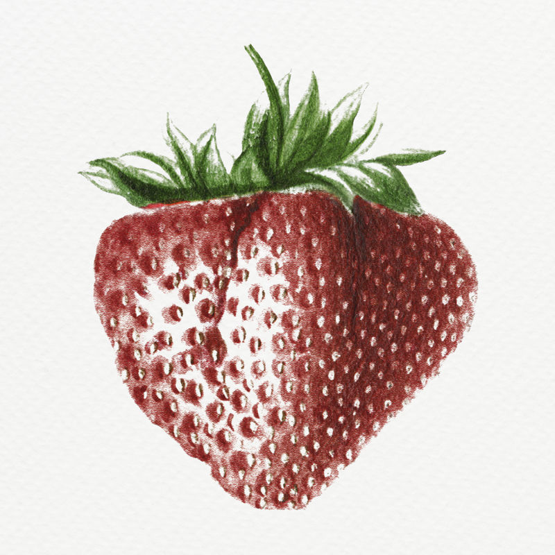 手绘草莓设计资源
