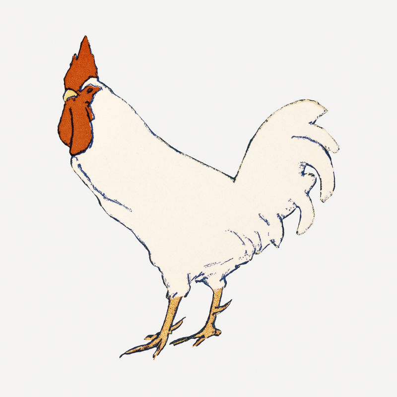 鸡肉艺术印刷品由爱德华·彭菲尔德的艺术作品重新混合而成