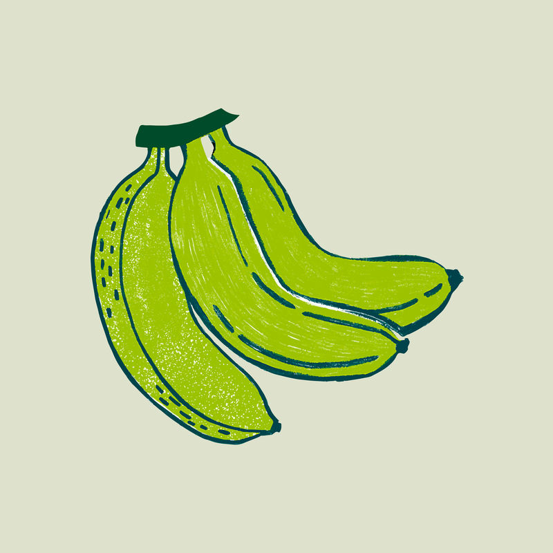 绿色香蕉矢量热带插图