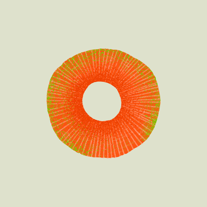 橙色圆圈矢量半色调设计