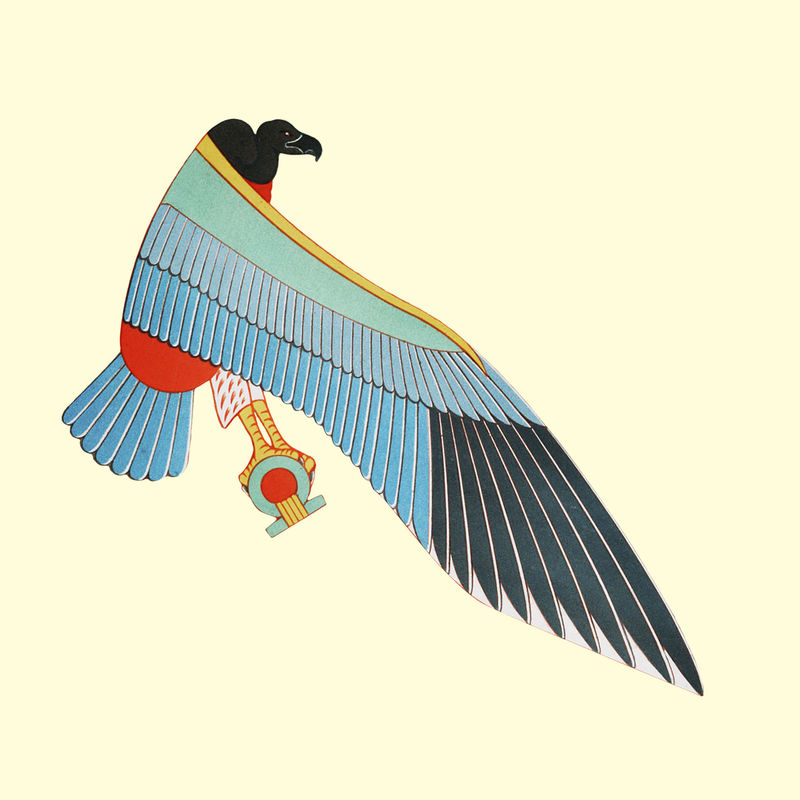 埃及荷鲁斯猎鹰psd插图从公共领域的艺术品混合