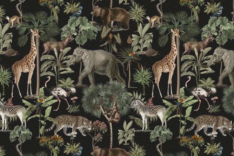 丛林模式背景野生动物